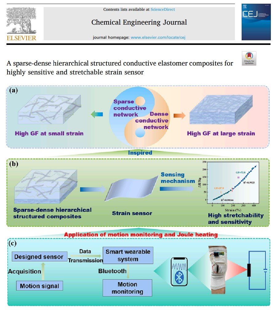 学术论文| 一种用于高灵敏度和可拉伸应变传感器的​“疏-密”层级结构的导电弹性体复合材料